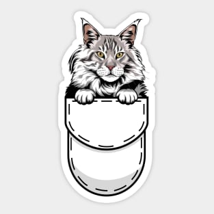 Funny Maine Coon Pocket Cat Sticker